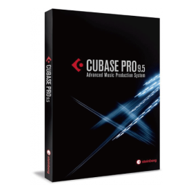 Steinberg Cubase Pro/스타인버그 큐베이스 프로/디지털 오디오 워크스테이션